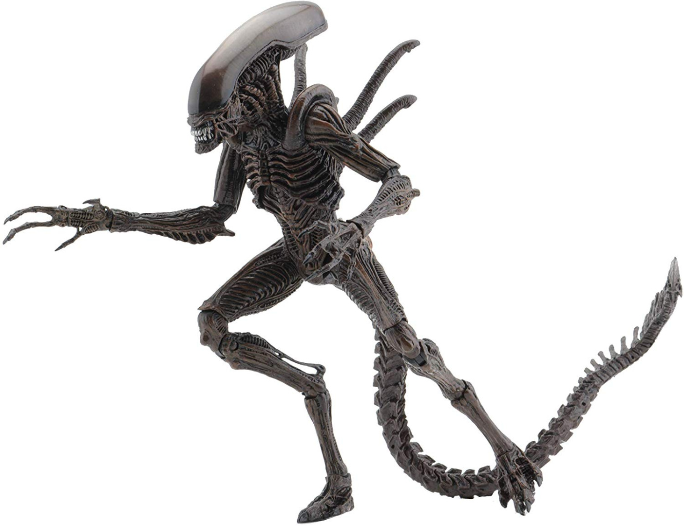 Action Figure Aliens Series 14 Xenomorph Warrior 18 cm 