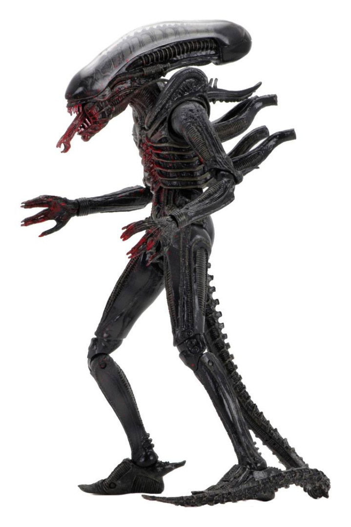 Alien Action Figure Xenomorph (Bloody) 18 cm 40th Anniversary Series 2 