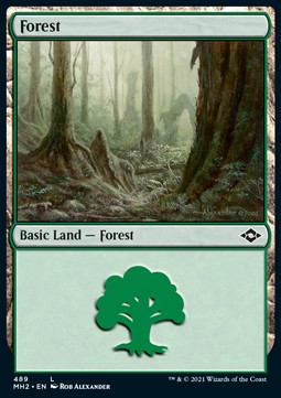 Single Magic The Gathering Forest (V.1) (MH2-489) Foil - English