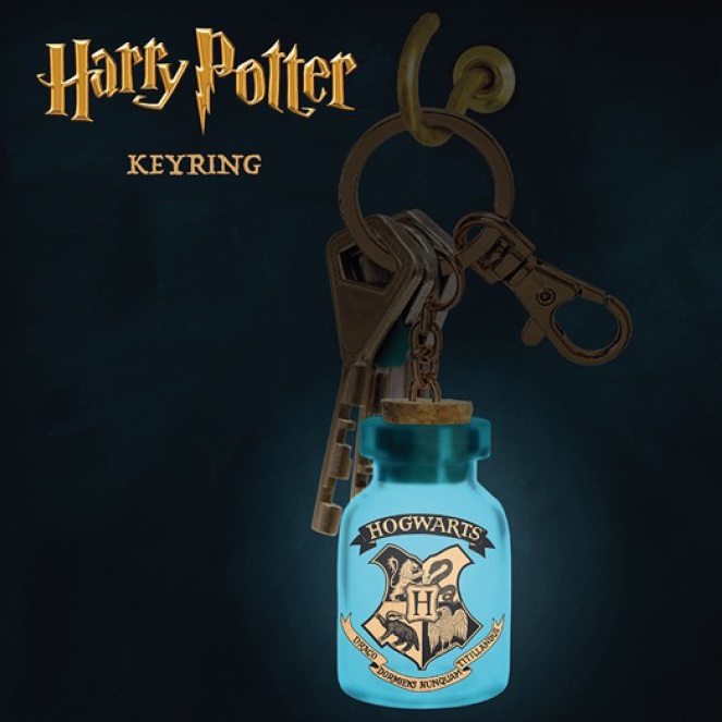 Porta-Chaves com luz Harry Potter: Light Up Keyring 